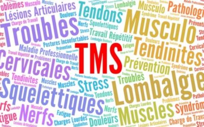 PREVENTION DES TMS : DES VIDEOS POUR EXPLIQUER LES BONS GESTES